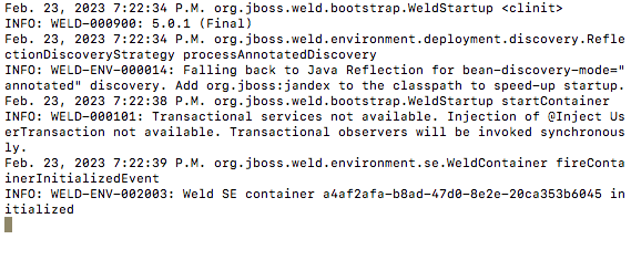 Terminal Output