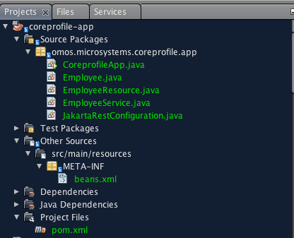 Project Directory Structure
